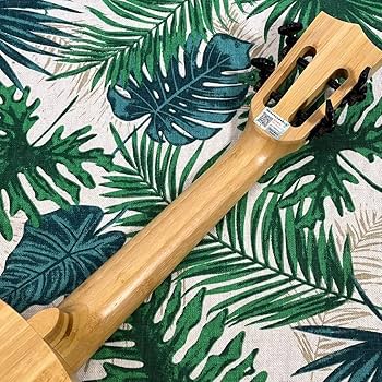 Amazon.co.jp: Andrew ukulele オールバンブー 竹 のエレキ